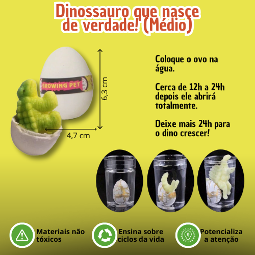 Ovo de Dino Surpresa Colecionável🦖 – A Magia de Ver um Dinossauro Nascer! 🥚✨