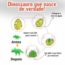 Ovo de Dino Surpresa Colecionável🦖 – A Magia de Ver um Dinossauro Nascer! 🥚✨